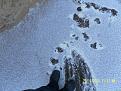 Нажмите на изображение для увеличения.

Название:	SAM_0221.jpg
Просмотров:	758
Размер:	199.4 Кб
ID:	3400055