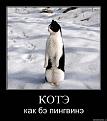 Нажмите на изображение для увеличения.

Название:	154290_274610.jpg
Просмотров:	718
Размер:	35.4 Кб
ID:	3400482