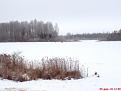 Нажмите на изображение для увеличения.

Название:	DSC00426.JPG
Просмотров:	1100
Размер:	16.6 Кб
ID:	3400702