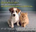 Нажмите на изображение для увеличения.

Название:	x_522322c4.jpg
Просмотров:	1277
Размер:	105.8 Кб
ID:	3401648