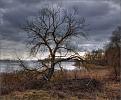 Нажмите на изображение для увеличения.

Название:	IMG_9486-color-BRIK.jpg
Просмотров:	565
Размер:	183.6 Кб
ID:	3401719