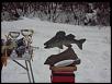 Нажмите на изображение для увеличения.

Название:	DSC03764.JPG
Просмотров:	449
Размер:	33.8 Кб
ID:	3402135