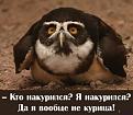 Нажмите на изображение для увеличения.

Название:	20.jpg
Просмотров:	667
Размер:	26.4 Кб
ID:	3402677