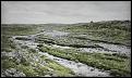 Нажмите на изображение для увеличения.

Название:	Image1 river.jpg
Просмотров:	394
Размер:	182.7 Кб
ID:	3403203