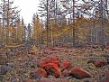 Нажмите на изображение для увеличения.

Название:	IMG_0615.jpg
Просмотров:	675
Размер:	172.9 Кб
ID:	3403338