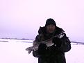 Нажмите на изображение для увеличения.

Название:	Фото0483.jpg
Просмотров:	1693
Размер:	70.9 Кб
ID:	3403402