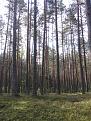 Нажмите на изображение для увеличения.

Название:	IMG_7000.jpg
Просмотров:	389
Размер:	208.8 Кб
ID:	3405337