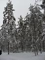 Нажмите на изображение для увеличения.

Название:	SL387329.jpg
Просмотров:	259
Размер:	92.7 Кб
ID:	3405901