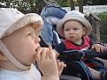 Нажмите на изображение для увеличения.

Название:	P6300214.JPG
Просмотров:	367
Размер:	87.8 Кб
ID:	3406146