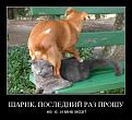 Нажмите на изображение для увеличения.

Название:	sdrhtj.jpg
Просмотров:	1590
Размер:	74.7 Кб
ID:	3406592