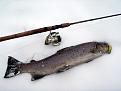 Нажмите на изображение для увеличения.

Название:	Shimano Twin Power 3000C Mg.jpg
Просмотров:	673
Размер:	138.7 Кб
ID:	3406894