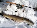 Нажмите на изображение для увеличения.

Название:	Shimano Stella 3000C.jpg
Просмотров:	645
Размер:	118.5 Кб
ID:	3406895