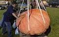 Нажмите на изображение для увеличения.

Название:	081013215059-giant-pumkin.jpg
Просмотров:	691
Размер:	26.6 Кб
ID:	3406916