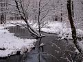 Нажмите на изображение для увеличения.

Название:	IMG_0652.jpg
Просмотров:	711
Размер:	111.9 Кб
ID:	3407081