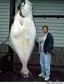 Нажмите на изображение для увеличения.

Название:	enormous_fish_29.jpg
Просмотров:	615
Размер:	44.3 Кб
ID:	3407162