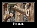 Нажмите на изображение для увеличения.

Название:	1285785766_ne-dala.jpg
Просмотров:	577
Размер:	49.6 Кб
ID:	3407191