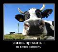 Нажмите на изображение для увеличения.

Название:	1285610528_zhizn-prozhit-.jpg
Просмотров:	581
Размер:	44.4 Кб
ID:	3407192