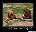 Нажмите на изображение для увеличения.

Название:	1283873838_ne-daj-sebe-zasohnut.jpg
Просмотров:	594
Размер:	67.5 Кб
ID:	3407193