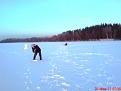 Нажмите на изображение для увеличения.

Название:	DSC00542.JPG
Просмотров:	952
Размер:	13.8 Кб
ID:	3407541