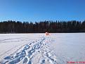 Нажмите на изображение для увеличения.

Название:	DSC00544.JPG
Просмотров:	917
Размер:	21.6 Кб
ID:	3407543