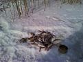 Нажмите на изображение для увеличения.

Название:	2011-02-19 14.28.11.jpg
Просмотров:	355
Размер:	174.2 Кб
ID:	3407758