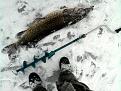 Нажмите на изображение для увеличения.

Название:	Фото-0026_e1.jpg
Просмотров:	670
Размер:	190.2 Кб
ID:	3408066