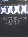 Нажмите на изображение для увеличения.

Название:	сабака.jpg
Просмотров:	1584
Размер:	57.0 Кб
ID:	3409021