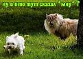 Нажмите на изображение для увеличения.

Название:	090fd5650b33d05fb4e9ddcdc9890239.jpg
Просмотров:	400
Размер:	62.1 Кб
ID:	3409141