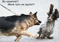 Нажмите на изображение для увеличения.

Название:	1261242055_1256999840_389720.jpg
Просмотров:	362
Размер:	40.3 Кб
ID:	3409144