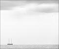 Нажмите на изображение для увеличения.

Название:	IMG_4442-right-bw-birds.jpg
Просмотров:	431
Размер:	162.5 Кб
ID:	3409161