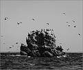 Нажмите на изображение для увеличения.

Название:	IMG_6036.jpg
Просмотров:	409
Размер:	181.3 Кб
ID:	3409162
