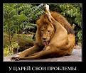 Нажмите на изображение для увеличения.

Название:	1299589529_5.jpg
Просмотров:	1392
Размер:	43.3 Кб
ID:	3410056