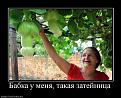 Нажмите на изображение для увеличения.

Название:	ff4a964c0d9c1a5a4a69804691b_prev.jpg
Просмотров:	1308
Размер:	49.3 Кб
ID:	3410259