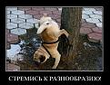 Нажмите на изображение для увеличения.

Название:	8.jpg
Просмотров:	1248
Размер:	62.0 Кб
ID:	3410297