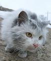Нажмите на изображение для увеличения.

Название:	2011-03-19 17-22-26_0049_exposure_новый размер.jpg
Просмотров:	970
Размер:	59.0 Кб
ID:	3410962
