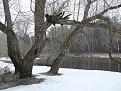 Нажмите на изображение для увеличения.

Название:	2011-03-19 17-22-51_0057_exposure_новый размер.jpg
Просмотров:	903
Размер:	156.3 Кб
ID:	3410965
