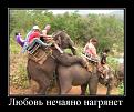 Нажмите на изображение для увеличения.

Название:	1300455969_01.jpg
Просмотров:	1260
Размер:	40.9 Кб
ID:	3411206