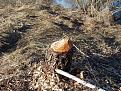 Нажмите на изображение для увеличения.

Название:	SDC17490.jpg
Просмотров:	1420
Размер:	210.8 Кб
ID:	3411985