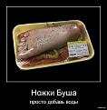Нажмите на изображение для увеличения.

Название:	421891-2010.01.22-05.27.38-nozhki_busha.jpg
Просмотров:	531
Размер:	100.6 Кб
ID:	3412613
