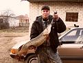 Нажмите на изображение для увеличения.

Название:	SDC11745.jpg
Просмотров:	996
Размер:	121.5 Кб
ID:	3412709