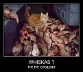Нажмите на изображение для увеличения.

Название:	demos_050.jpg
Просмотров:	1322
Размер:	61.4 Кб
ID:	3413432