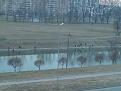 Нажмите на изображение для увеличения.

Название:	DSC00270.JPG
Просмотров:	731
Размер:	66.6 Кб
ID:	3413742
