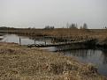 Нажмите на изображение для увеличения.

Название:	IMG_8916.jpg
Просмотров:	1114
Размер:	94.9 Кб
ID:	3414108