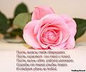 Нажмите на изображение для увеличения.

Название:	617933308.jpg
Просмотров:	618
Размер:	44.9 Кб
ID:	3414793