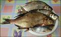Нажмите на изображение для увеличения.

Название:	Big Fish.JPG
Просмотров:	1024
Размер:	182.5 Кб
ID:	3415063