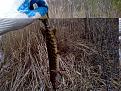 Нажмите на изображение для увеличения.

Название:	300420112203.jpg
Просмотров:	662
Размер:	197.4 Кб
ID:	3415894