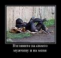 Нажмите на изображение для увеличения.

Название:	tn.jpg
Просмотров:	1613
Размер:	85.9 Кб
ID:	3416845