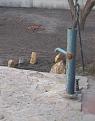 Нажмите на изображение для увеличения.

Название:	water-pump.jpg
Просмотров:	939
Размер:	80.1 Кб
ID:	3417396