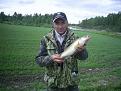 Нажмите на изображение для увеличения.

Название:	PIC_0051_thumb.jpg
Просмотров:	830
Размер:	68.1 Кб
ID:	3417545