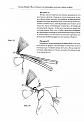 Нажмите на изображение для увеличения.

Название:	Mohocan Mayfly_Page_12_Image_0001.jpg
Просмотров:	327
Размер:	133.7 Кб
ID:	3418440